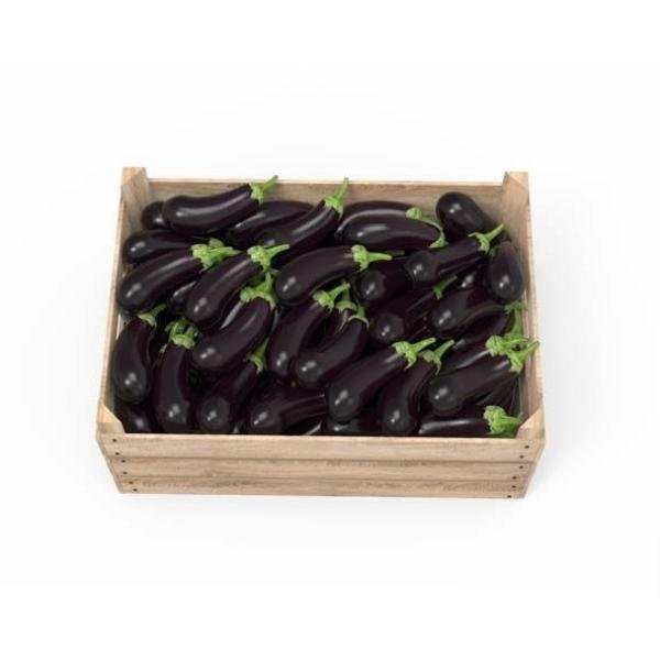 Brinjal