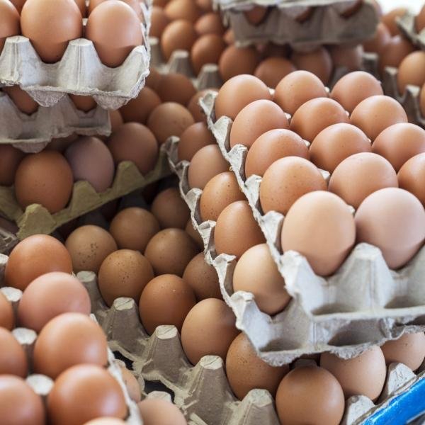 Egg