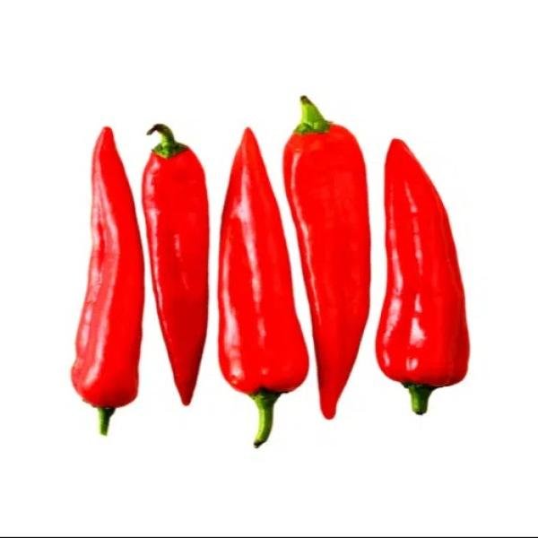 Red Pepper