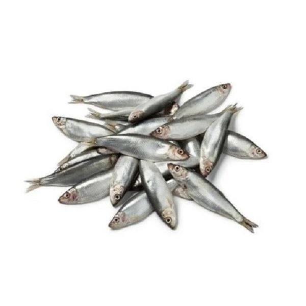 Staff Fish